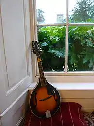 Modern Epiphone mandolin