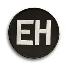 Ernie Harwell commemorative patch worn in 2010.