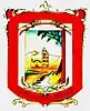 Coat of arms of San Buenaventura