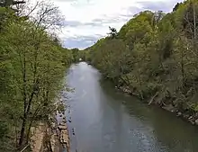 A wide stream with steep wooded banks in late spring, seen from above its channel