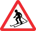 Skiers crossing