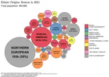 Image 53Packed circles diagram showing estimates of the ethnic origins of people in Boston in 2021 (from Boston)