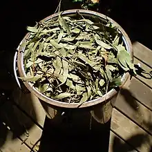 Leaves in small steam distillation unit