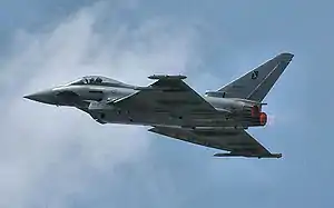 A Eurofighter Typhoon operated by the Italian Air Force.