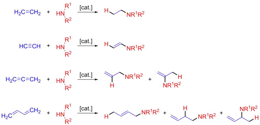 Prototypical intermolecular hydroamination reactions.