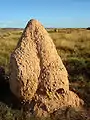 One of the countless termite hills