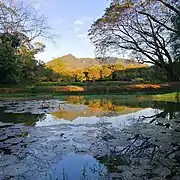 Mt. Arayat seen at PSAU school grounds