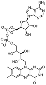 Stereo, Kekulé, skeletal formula of FAD