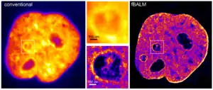 fBALM Super-resolution single molecule localisation microscopy using DNA structure fluctuation assisted binding activated localisation microscopy