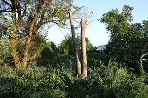 South Beach Wetlands