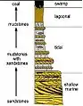 A regressive facies shown on a stratigraphic column