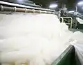 Cashmere factory process.