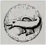 Tarasque on a coin struck under King René's rule