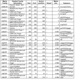 transcription factor binding sites in the promoter of Fam158a