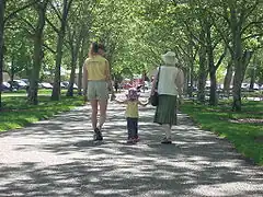 A family walking in the park.