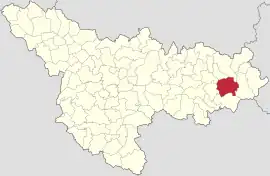 Location in Timiș County