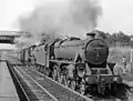 Farington Station remains, with trainspotter 1959