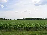 Farmland in Lysander