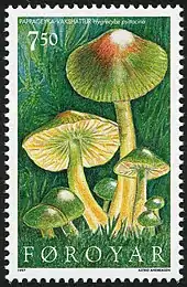 FR 306: Papageyka-vakshattur (Hygrocybe psittacina)