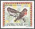 FR 307: Reyðkollur - redpoll (Carduelis flammea)