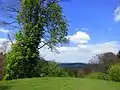 View from the Felsberg (Odenwald)