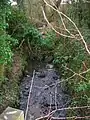 The Fergushill Burn where it joins the Lugton Water