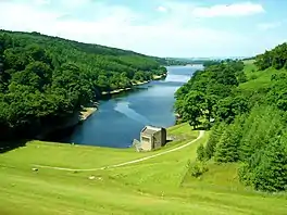 A reservoir surrounded by trees