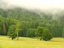 Landscape around Lake Sfânta Ana, southern Harghita County