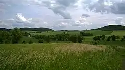 Field in Roztocznik