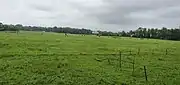 Fields of Benaulim after St. John the Baptist Church East towards Margao