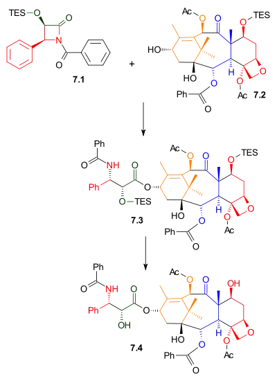 Tail Addition Scheme 7