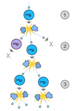 Image 50A schematic nuclear fission chain reaction. 1. A uranium-235 atom absorbs a neutron and fissions into two new atoms (fission fragments), releasing three new neutrons and some binding energy. 2. One of those neutrons is absorbed by an atom of uranium-238 and does not continue the reaction. Another neutron is simply lost and does not collide with anything, also not continuing the reaction. However, the one neutron does collide with an atom of uranium-235, which then fissions and releases two neutrons and some binding energy. 3. Both of those neutrons collide with uranium-235 atoms, each of which fissions and releases between one and three neutrons, which can then continue the reaction. (from Nuclear fission)