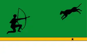 Flag of the Department of Amazonas