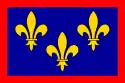 Flag of Duchy of Anjou