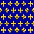 Banner of the Kingdom of France