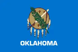 Flag of Oklahoma (buffalo-skin shield)