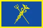 Flag of Strogino