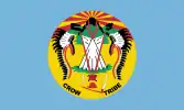 Flag of the Crow Nation