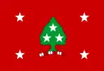 Flag of the governor