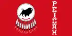 Flag of Piikani 147