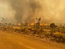 Beyond a dirt road and desert brush and Joshua trees, a flame front burns and colors the sky brown and orange