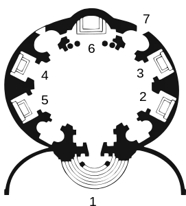 Floor plan of Sant'Andrea al Quirinale by Gian Lorenzo Bernini (1658–1661) showing the entrance (below), altar (top) and radiating chapels