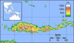 Approximate location where Palu'e is spoken