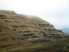 Fog at the Ocetá Páramo