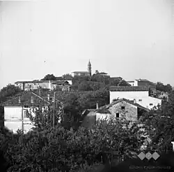 Fojana in 1953