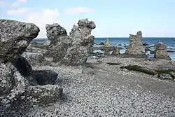 Sea stacks at Folhammar in Ardre