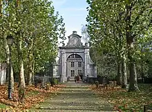 Image 50Alleé of London plane trees (Platanus × acerifolia) in garden (from Tree)