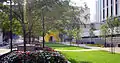 Forbes Quad.  The side of Hillman Library can be seen on the right.