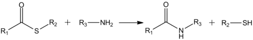 Formation of amides from thioesters