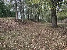 Grass-covered soil mounds with trees growing on top and around them